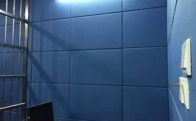 浙江衢（qú）州審訊室布藝軟包吸音板聲學工（gōng）程-3